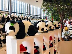 -大连森林动物园熊猫馆纪念品商店