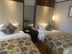 -武汉江城明珠豪生大酒店