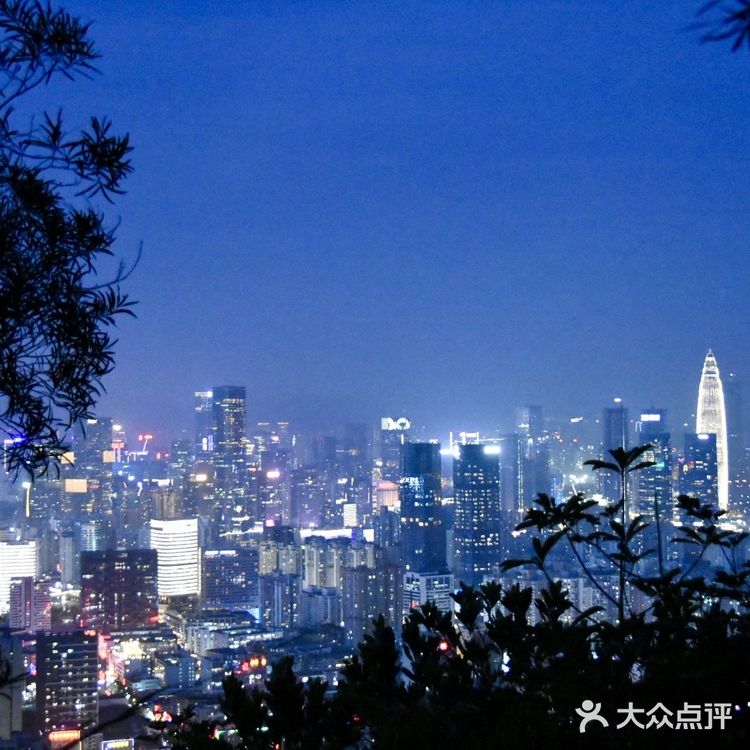 深圳南山公园登山攻略📒📒