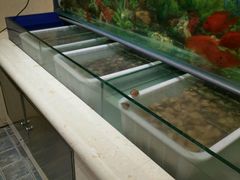 水产区-福缘烤肉王自助(爱琴海-原比尔森店)
