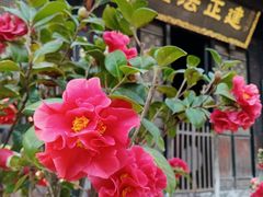 -成都市文殊院