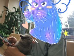 -喜多萌中农锦绣动物医院24H·猫科·牙科MRI·CT