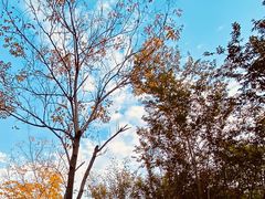 -河南省黄河迎宾馆