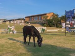 -天目湖涵田度假村