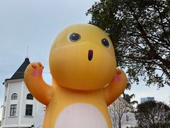 -海合安成都极地海洋公园
