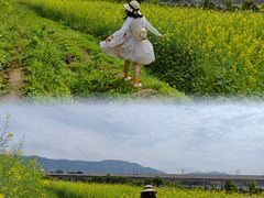 -光明小镇欢乐田园
