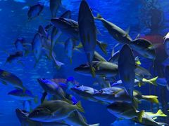 -沈阳海洋探索中心