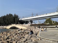 -宝安西湾红树林湿地公园