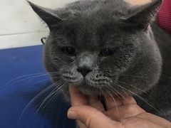 -酷狗靓猫宠物·洗护·美容·寄养(航北路店)