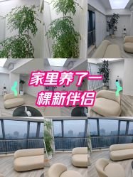 -HEYAN荷妍专业脱毛连锁机构