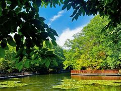 -洛阳白云山景区