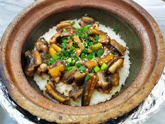 -红星光发煲仔饭(大石街店)