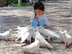 -昆明动物园