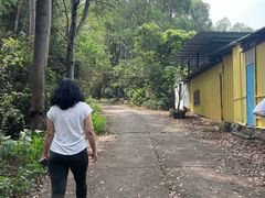 -火炉山森林公园