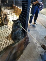 -酷嗒动物文化乐园(cutezoo西溪乐天城店)