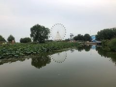 -白洋淀景区