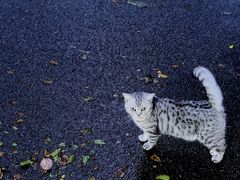 -顺风山庄(水濂山店)