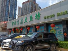 -老刘生态大鱼坊铁锅炖鱼(赛马场店)