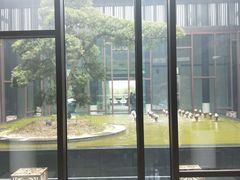 -上海崇明金茂凯悦酒店