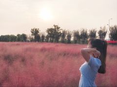 -映月湖中央公园