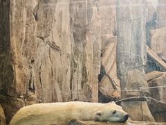 -西安曲江海洋极地公园