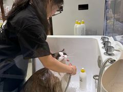 -FAELING PETS美天灵宠物(富力广场店)