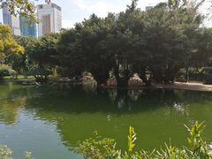 -九龙公园