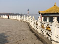 -溱湖国家湿地公园