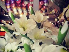 -SAH健身私教工作室(紫东店)