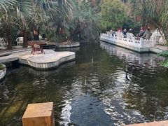 -寿山福海养老服务中心(石景山院)