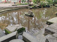 -成都市活水公园