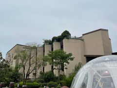 -上海崇明金茂凯悦酒店