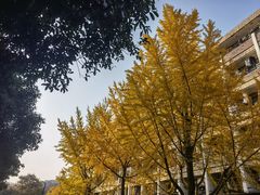 -浙江科技大学(小和山校区)