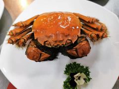 -老牌坊•鲁菜名店•地道济南菜(大观园商埠店)