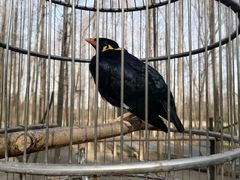 -昆山城市生态森林公园