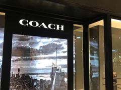 -COACH蔻驰(赛特奥特莱斯店)