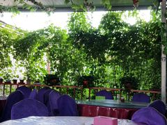 -马白开来特色羊排揪片子  (总店)