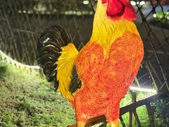 -土灶人家柴火鸡(都江堰店)