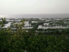 android_upload_pic-三山岛