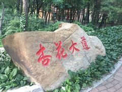 -吉林大学(南岭校区)