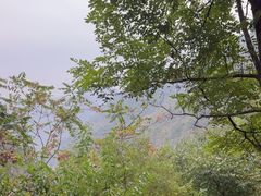 -双龙峡