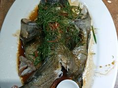 -百年银屏蚝烙·潮汕菜·非遗(乐山店)