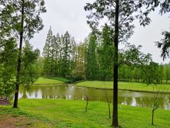 -黄海国家森林公园