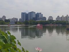 -莲花池公园