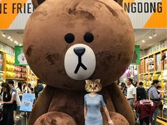 -line friends(明洞旗舰店)