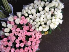 -三圣花乡旅游区