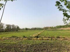 -广富林郊野公园