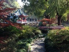 iphone_upload_pic-申粤轩酒楼·三十年粤菜经典(丁香花园店)