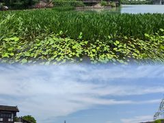 -茅山东方盐湖城景区