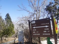 -北京鹫峰国家森林公园